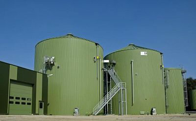      Biogasrat      