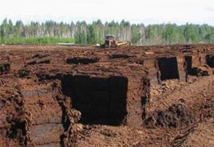 Постановление правительства о вопросах добычи торфа надо оставить в силе