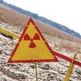 "Росатом" опроверг сообщения о возможном строительстве в России центра по утилизации урановых стержней