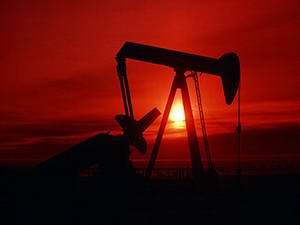 Беларусь в 2010 году закупит в Венесуэле 4 млн т нефти - В.Семашко