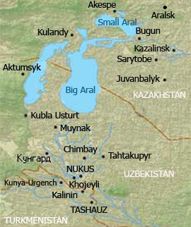 Аральское море: "жемчужина" для инвесторов или "черная дыра" Ташкента и Астаны?