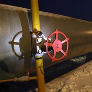Украина экономила бы на газе 8 млрд долларов в год в случае вступления в Таможенный союз
