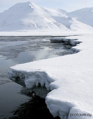WWF России: планы ВР и "Роснефти" по нефтедобыче угрожают арктическим охраняемым территориям