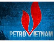""    PetroVietnam   1       