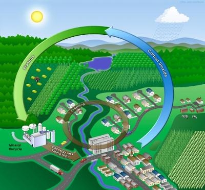 Производство биомассы для энергетических целей