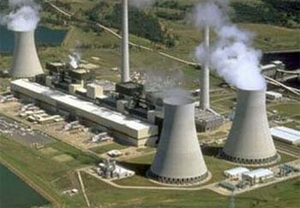 Результаты общественного мониторинга воздействия БелАЭС на окружающую среду представлены в Вильнюсе