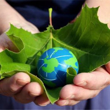 Глобальные инвестиции в "зеленую энергетику" в 2010 году возросли до рекордных 243 млрд долл.