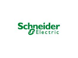 Schneider Electric       30%