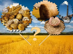 Биомасса сельскохозяйственных растительных культур Беларуси –  провольствие или топливо?