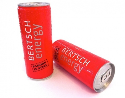   Bertsch Energy       