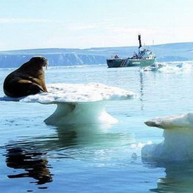 "Роснефть" и BP создадут СП для освоения Арктики в течение двух лет