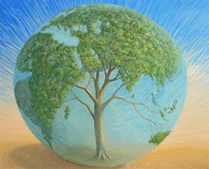 Беларусь выражает озабоченность неравными условиями участия во втором периоде обязательств Киотского протокола