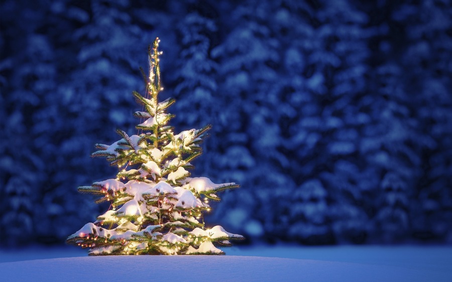 Как правильно выбрать светодиодную гирлянду к Рождеству и Новому году