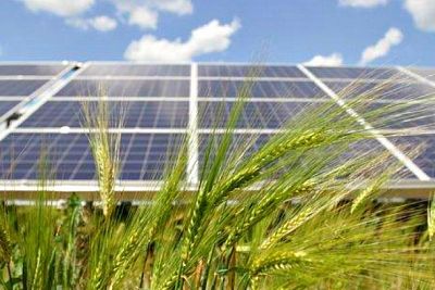 Нидерланды помогут Украине развивать «зеленую» энергетику