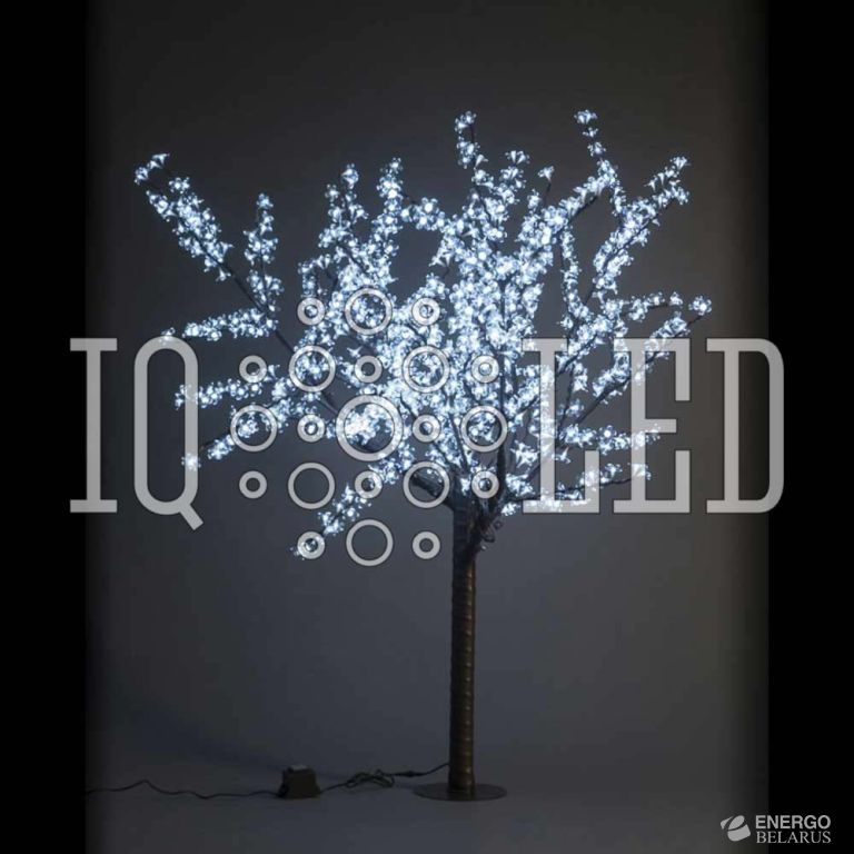 Вишня 1,9m D1,5 белое