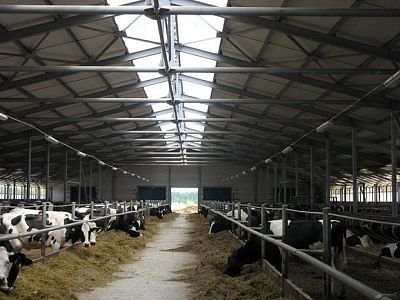 Преимущества электрической энергии  в теплообеспечении животноводческих ферм