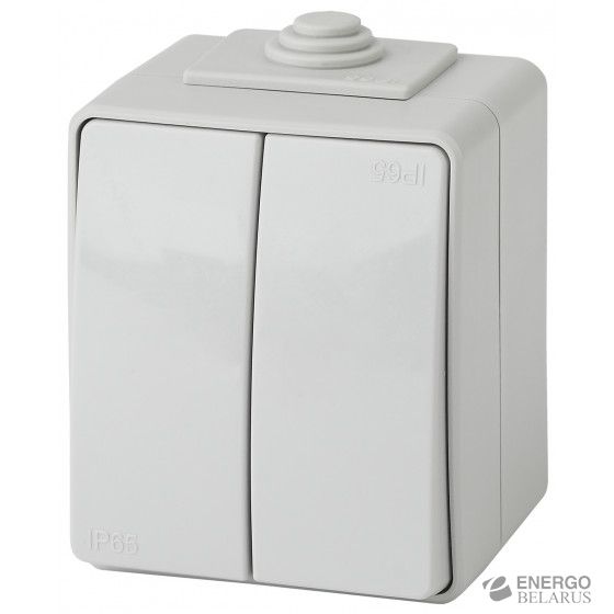 11-1604-03 ЭРА Выключатель двойной IP65, 10АХ-250В, ОУ, Эра Эксперт, серый