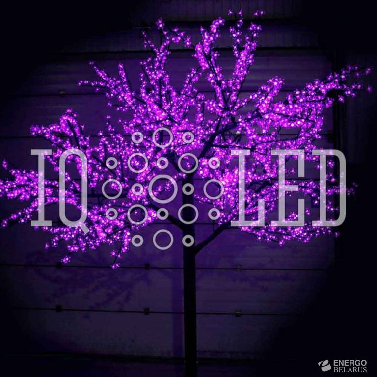 Вишня H3,6m D3,0м фиолет.