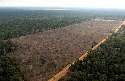 Британские станции уничтожат тропические леса