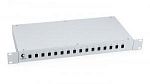 FO-19-16SC (7035c)