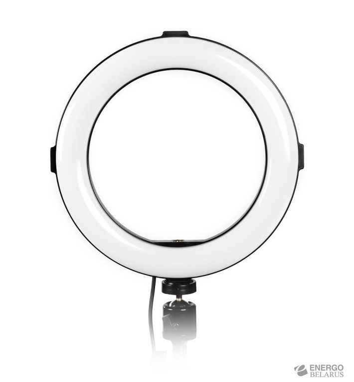 Кольцевая светодиодная (LED) Лампа 20 см Smartbuy