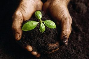 Предотвращение снижения плодородия почвы за счет использования систем и установок энергетики 