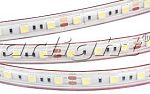 Светодиодные ленты RTW 2-5000PGS 12V Warm 2x (5060, 300 LED)