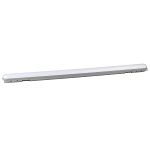 Светильник SPP-2-36-6K-M ЭРА IP65 матовый