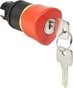 Кнопка  023892