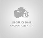 SLA-2M6000P SLA-2M6000P/KAJ Видеомодуль