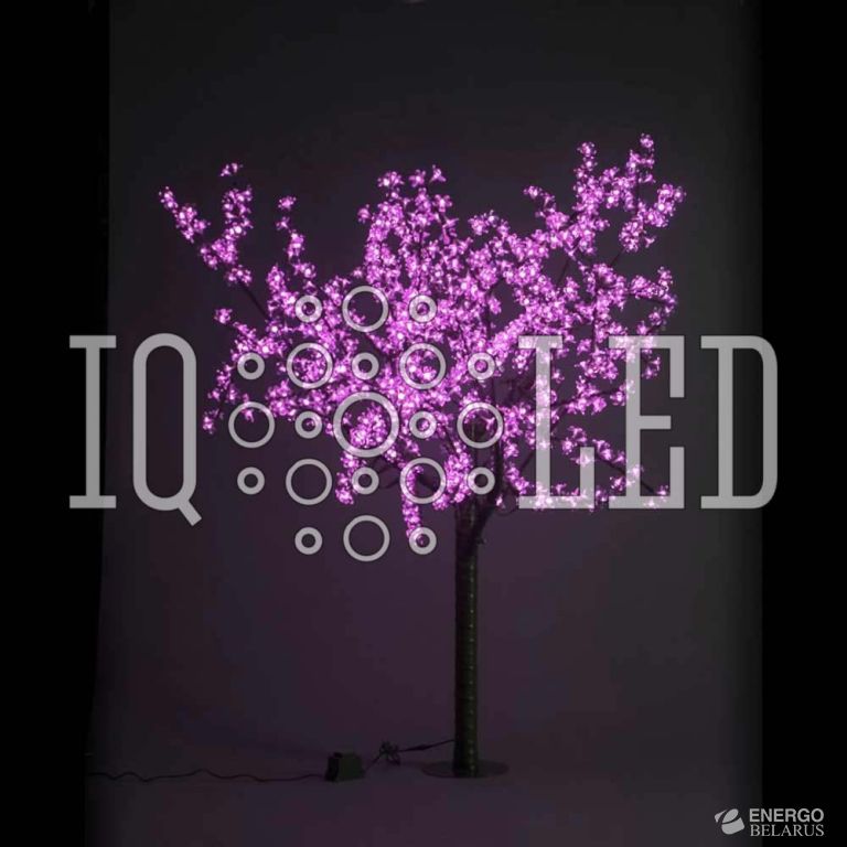 Вишня 1,9m D1,5 розовое