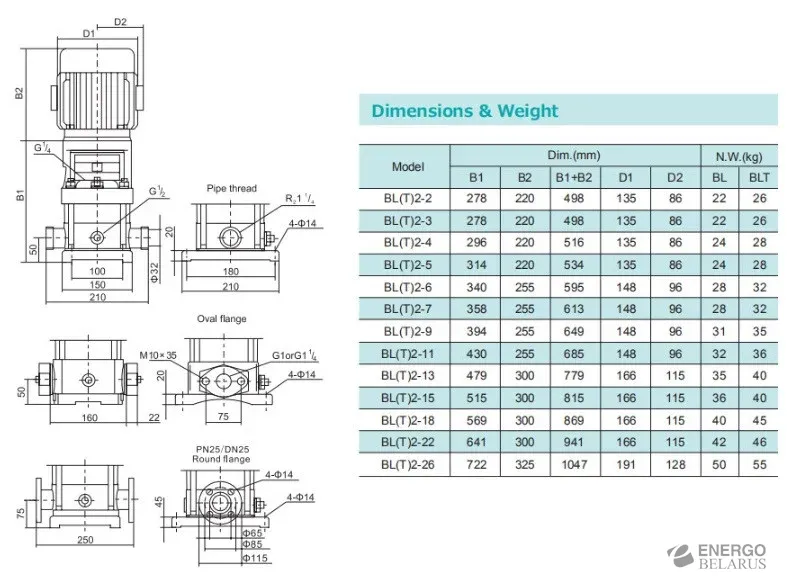 Насос многоступенчатый BL 2-3R 380V 120*C (0,37 кВт) Shimge
