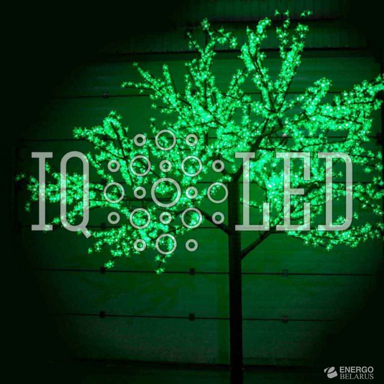 Вишня 3,6m D3,0м зеленое