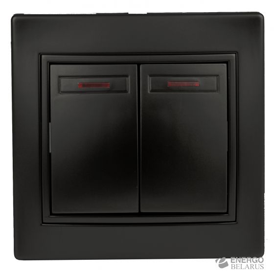 Выключатель Intro Plano 1-105-05 двухклавишный с подсветкой, 10А-250В, IP20, СУ, антрацит