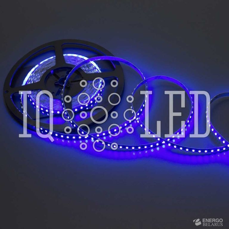 Лента светодиоидная 5M Гибкая полоса, 12V, белая основа (Синяя)