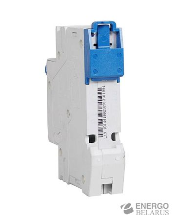 Выключатель автоматический NB1-63H 2P 10A C (10kA) CHINT
