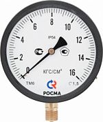 Манометр РОСМА специального исполнения IP54