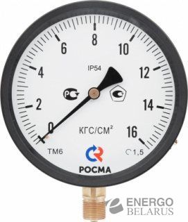 Манометр РОСМА специального исполнения IP54