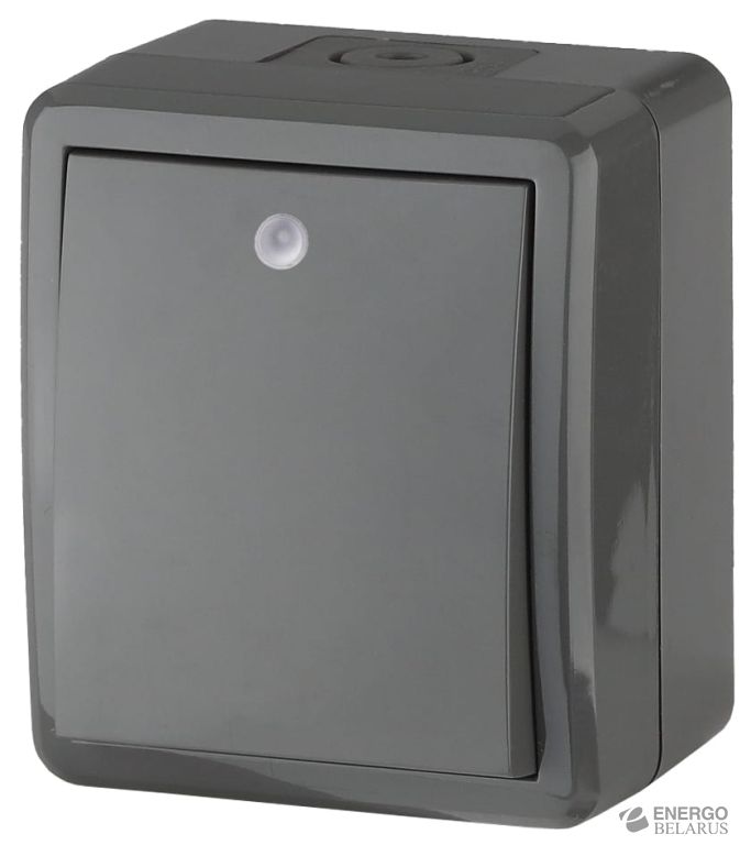 Выключатель с подсветкой IP54 11-1402-03 ЭРА, 10АХ-250В, ОУ, Эра Эксперт, серый (16/160/2560)