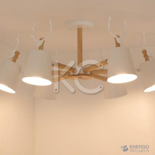 Светильник светодиодный потолочный Астерия MMD-LED A077-3-6xE27, белый, Home Light
