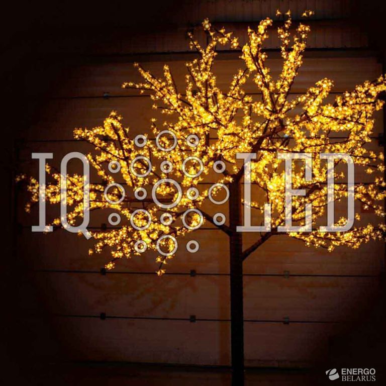 Вишня 3,6m D3,0м желтое