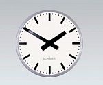 Вторичные аналоговые часы SCHAUER WWNFR60B
