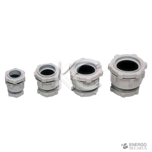 Сальник РГЛ 29