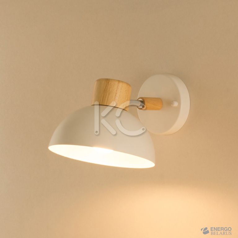 Светильник светодиодный настенный Астерия MMD-LED B134-2B-1xE27, белый, Home Light