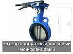Затвор поворотный дисковый ручной DN 125