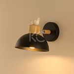 Светильник светодиодный настенный Астерия MMD-LED B134-2A-1xE27, черный, Home Light