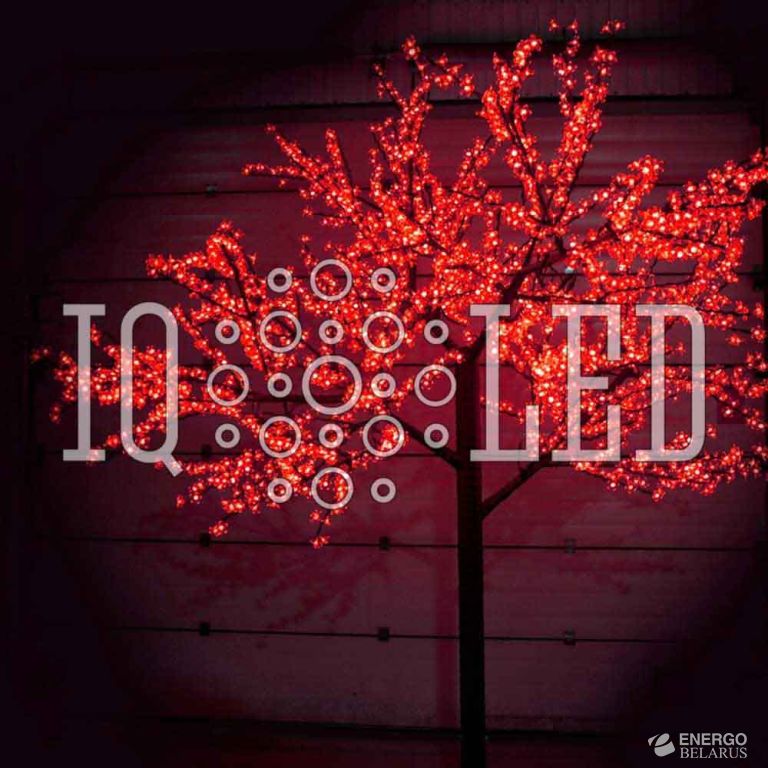 Вишня 3,6m D3,0м красное