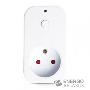 Eldes EWM1