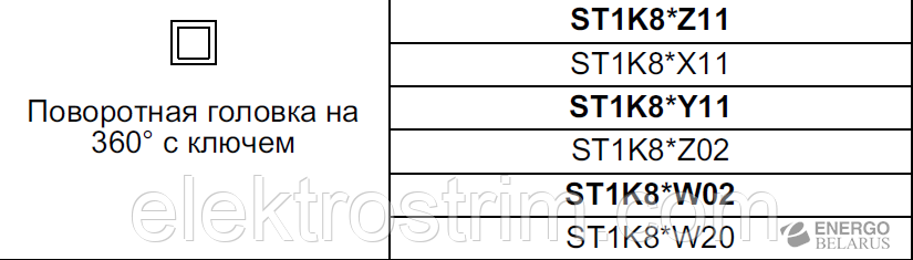 Выключатель безопасности ST1K8*