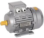 Электродвигатель  AIS090-L2-002-2-3010